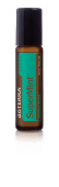 картинка SuperMint Blend Touch / Суперминт, Смесь эфирных масел мяты в роллере, 10 мл Эфирных масел doTERRA от интернет магазина  www.aroma.moscow