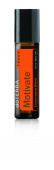 картинка  Motivate Encouraging Blend Touch / Мотивация ( Ободряющая смесь эфирных масел ), роллер 10 мл Эфирных масел doTERRA от интернет магазина  www.aroma.moscow