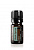 картинка Black spruce  Essential Oil / Черная ель (Picea mariana), 5 мл Эфирных масел doTERRA от интернет магазина  www.aroma.moscow