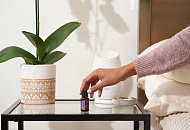 Специальное предложение: скидка 15% на дуэт Serenity и Lavender Специальное предложение: скидка 15% на дуэт Serenity и Lavender