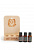 картинка Sauna Kit / Набор из трех масел для сауны на деревянной подставке Эфирных масел doTERRA от интернет магазина  www.aroma.moscow